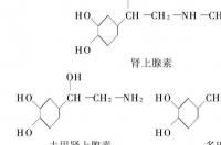 儿茶酚胺的结构式？ 儿茶酚胺结构式