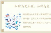 如何乌发生发，如何乌发
