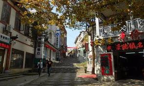 11de5d5625b07295