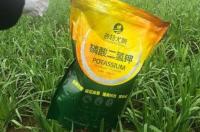 碱性磷酸酶偏高是怎么回事？ 全部正常只有碱性磷酸酶高