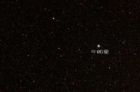 牛郎星位于哪一个星座？ 河鼓二是牛郎星吗