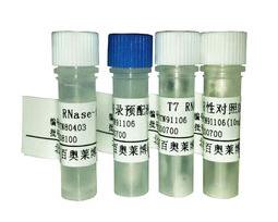 cbc00843861742d2