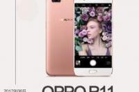 OPPO 什么时候有安卓12？ oppo2009年上市的手机