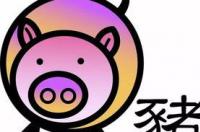 2007年1月24出生的属什么?多少岁? 属猪白羊座男生的真实性格