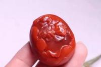 刚果红染色法鉴定纤维素分解菌的方法一会不会出现能产生假阳性反应的产淀粉酶菌？ 刚果红作用