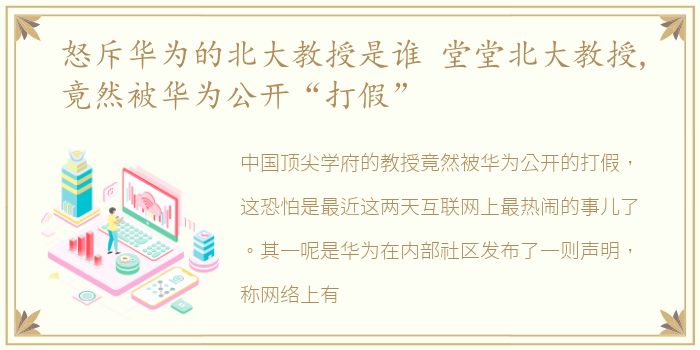 怒斥华为的北大教授是谁 堂堂北大教授,竟然被华为公开“打假”