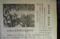 1979年9月23日3时农历？ 1979年农历9月23日是什么星座