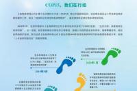 21年生物多样性公约口号和主题？ 生物多样性公约