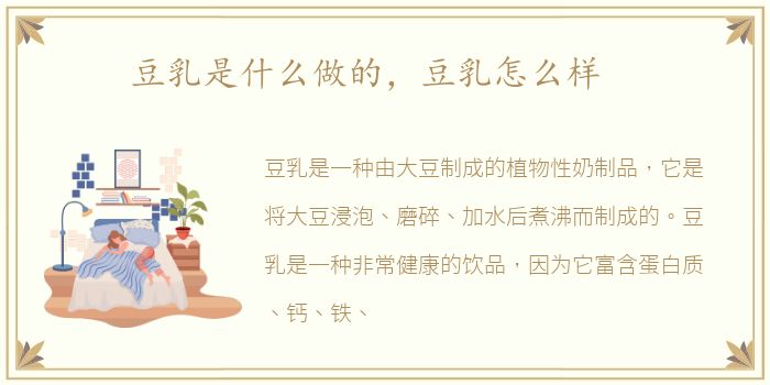 豆乳是什么做的，豆乳怎么样