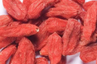枸杞有壮阳的功效吗