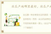 丝瓜产地哪里最好，丝瓜产地