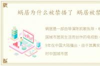 蜗居为什么被禁播了 蜗居被禁播