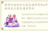 葡萄牙被绝杀无缘直通世界杯c罗，葡萄牙被绝杀无缘直通世界杯