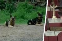 电影《犬王》导演叫什么名字？ 姚守岗