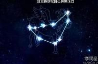 摩羯座2021年每月运势？ 摩羯座2021年感情运势