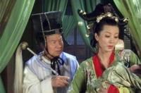 少年包青天之狸猫换太子剧情？ 狸猫换太子电视剧
