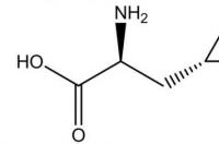 转氨酶高是怎么回事有什么危害 丙氨酸氨基转移酶高的危害