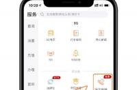 10010联通网上营业厅详单查询？ 登录10010网上营业厅