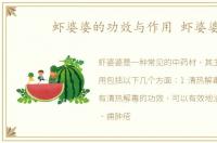 虾婆婆的功效与作用 虾婆婆
