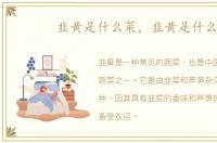 韭黄是什么菜，韭黄是什么