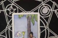 神秘命运塔罗牌怎么玩？ 塔罗牌测试感情