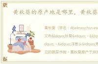 黄秋葵的原产地是哪里，黄秋葵产地