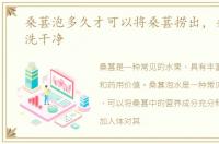 桑葚泡多久才可以将桑葚捞出，桑葚怎么洗干净