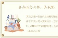 真我q5怎么样，真我Q5