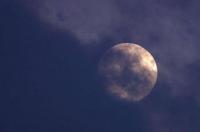 上升星座怎么查最准确？ 10月29日上升星座