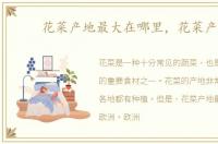 花菜产地最大在哪里，花菜产地