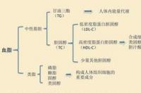 人参果总皂苷的功效与作用 皂苷的功效与作用