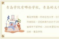 青岛学院有哪些学校，青岛的大学排名