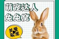 自制兔窝保暖？ 兔子窝怎么做保暖