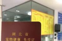 宠物健康免疫证怎么办？ 宠物健康免疫证