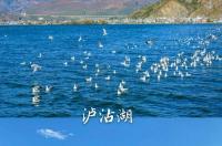 云南丽江五日游攻略？ 丽江跟团5天价格表