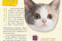 播放猫叫声驱鼠有用吗？ 猫叫声驱鼠 mp3