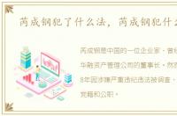 芮成钢犯了什么法，芮成钢犯什么事了