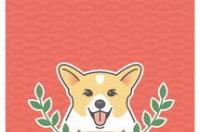 柯基犬性格特征？ 柯基狗的特点