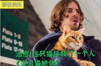 流浪猫鲍勃2几分钟？ 流浪猫鲍勃2