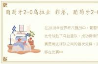 葡萄牙2-0乌拉圭 彩票，葡萄牙2-0乌拉圭