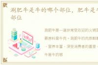 涮肥牛是牛的哪个部位，肥牛是牛的哪个部位
