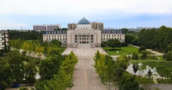 四川大学什么专业好