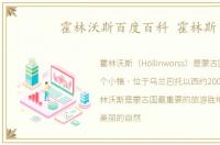 霍林沃斯百度百科 霍林斯