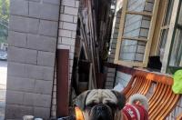 巴哥犬多少钱一只？ 巴哥犬好养吗多少钱一只