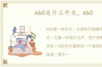 kb0是什么开关，kb0