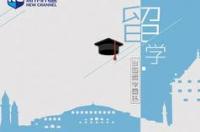 国内大学和出国留学你觉得哪个好 出国留学还是读国内大学