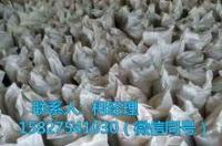 什么是多聚甲醛？ 多聚甲醛厂家