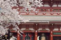 怎样申请去日本留学？ 中国学生怎么去日本留学