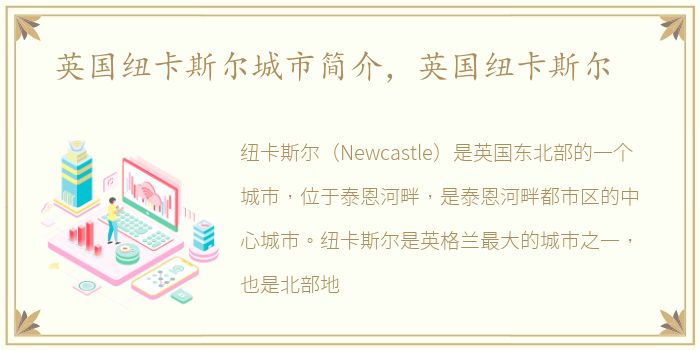 英国纽卡斯尔城市简介，英国纽卡斯尔