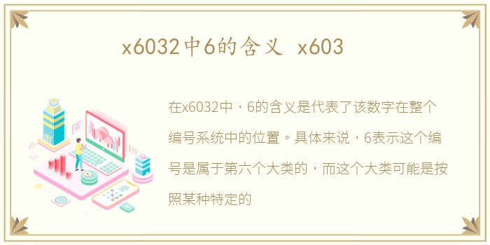 x6032中6的含义 x603